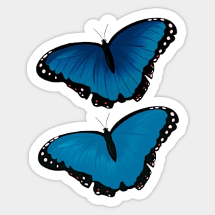 Morpho Butterfly Pack Sticker